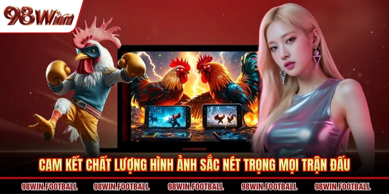 Cam kết chất lượng hình ảnh sắc nét trọng mọi trận đấu