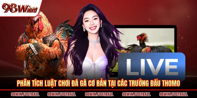 Phân tích luật chơi đá gà cơ bản tại các trường đấu Thomo