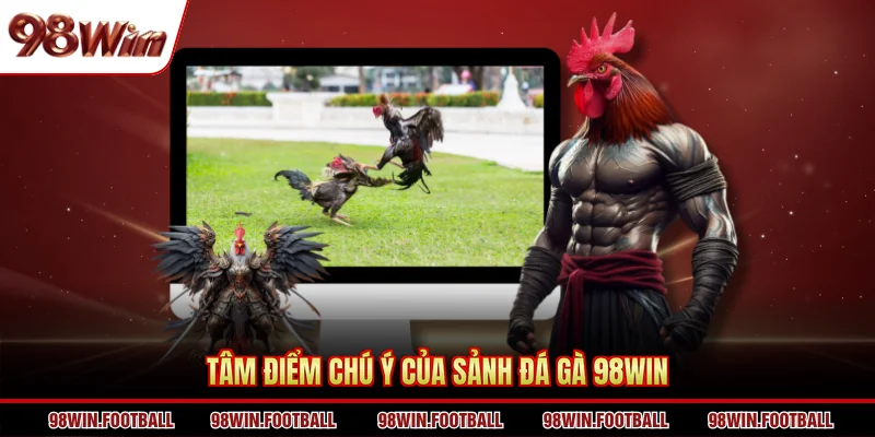Tâm điểm chú ý của sảnh đá gà 98win