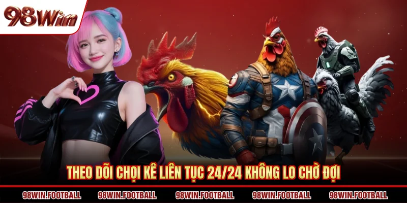 Theo dõi chọi kê liên tục 24/24 không lo chờ đợi