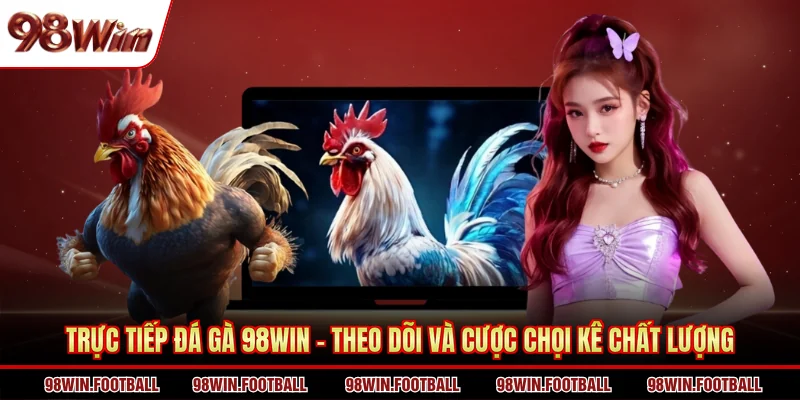 Trực Tiếp Đá Gà 98win - Theo Dõi Và Cược Chọi Kê Chất Lượng